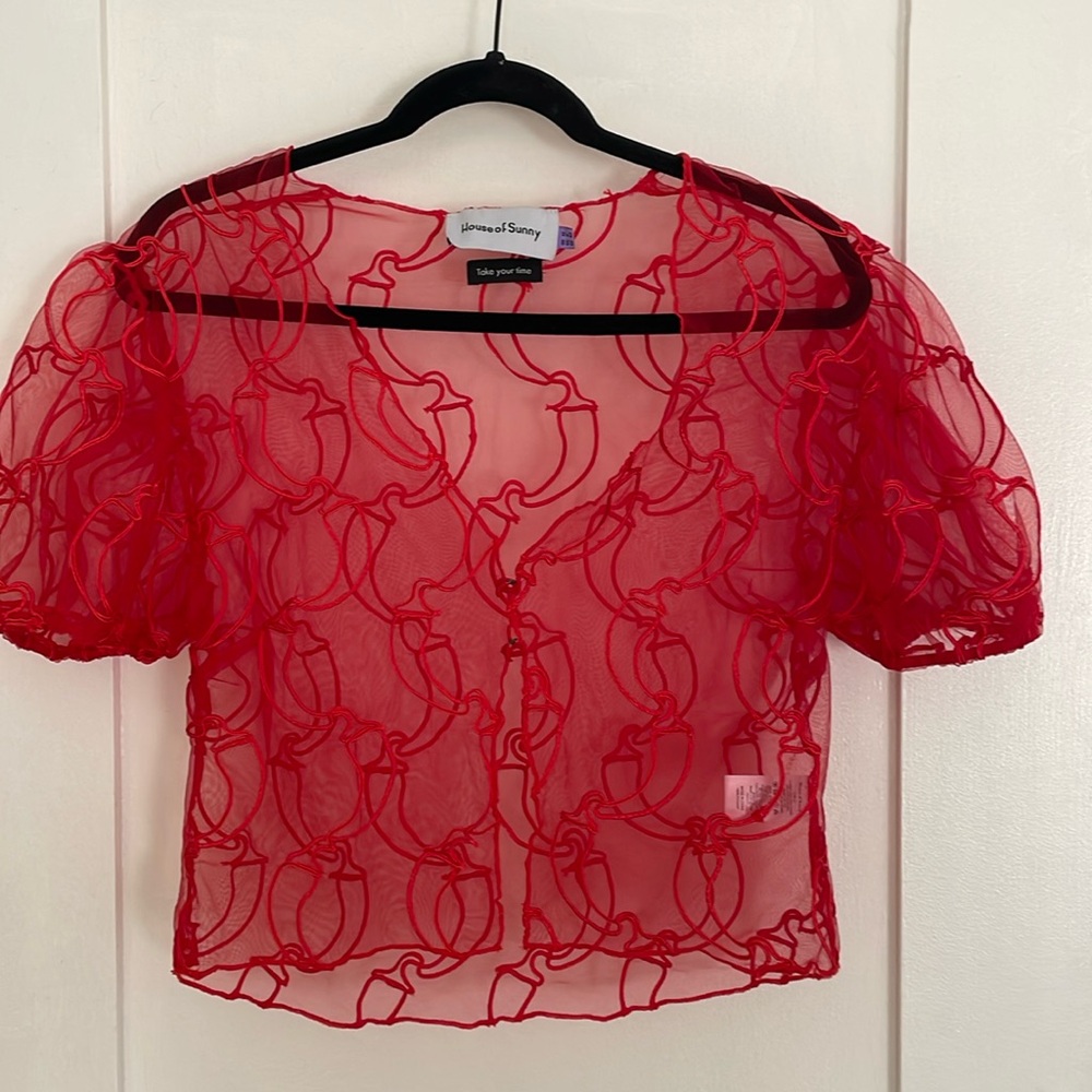 House of Sunny Spicy Red Mesh Top